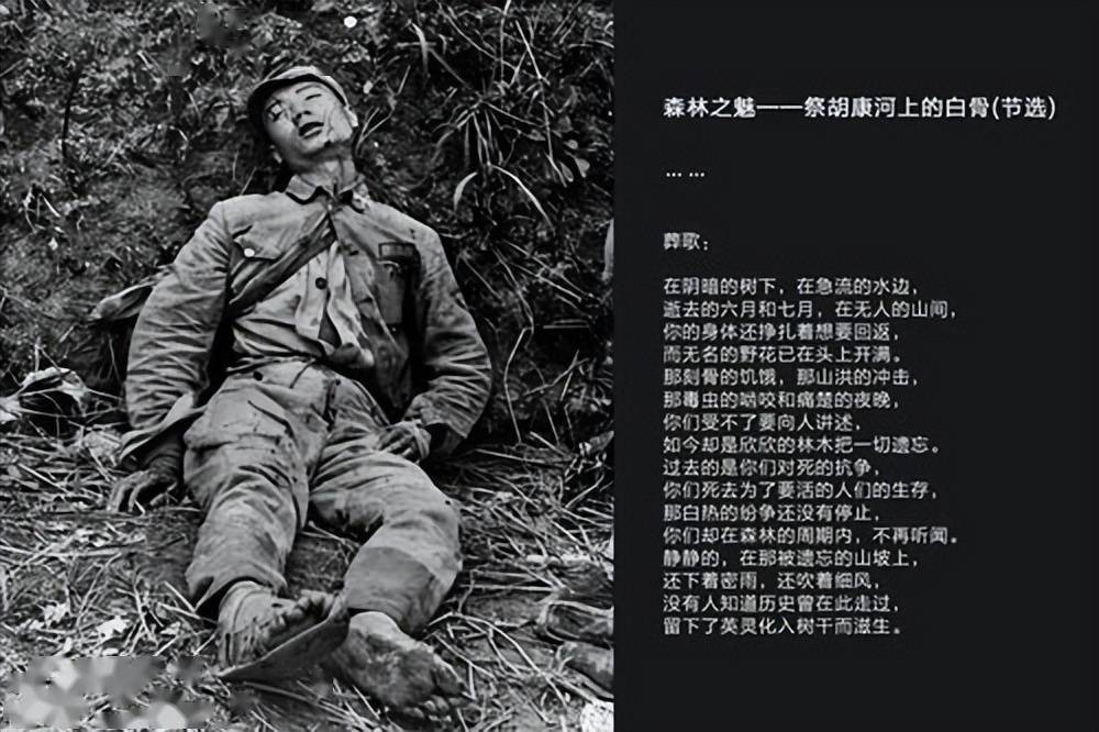 1942年3万远征军死在野人山唯一幸存的女兵是如何活下来的