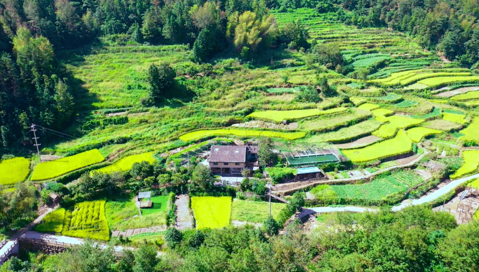 民宿时光 | 藏匿于文成的青山绿水间，理想中的田园在“十亩之间”