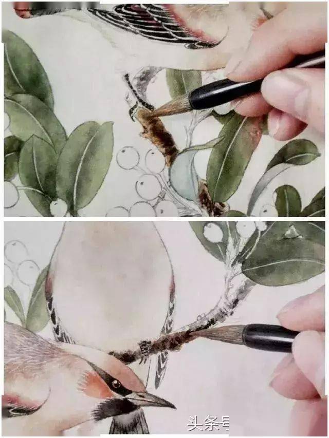 图文教程丨一步一步学分染工笔花鸟画详细过程
