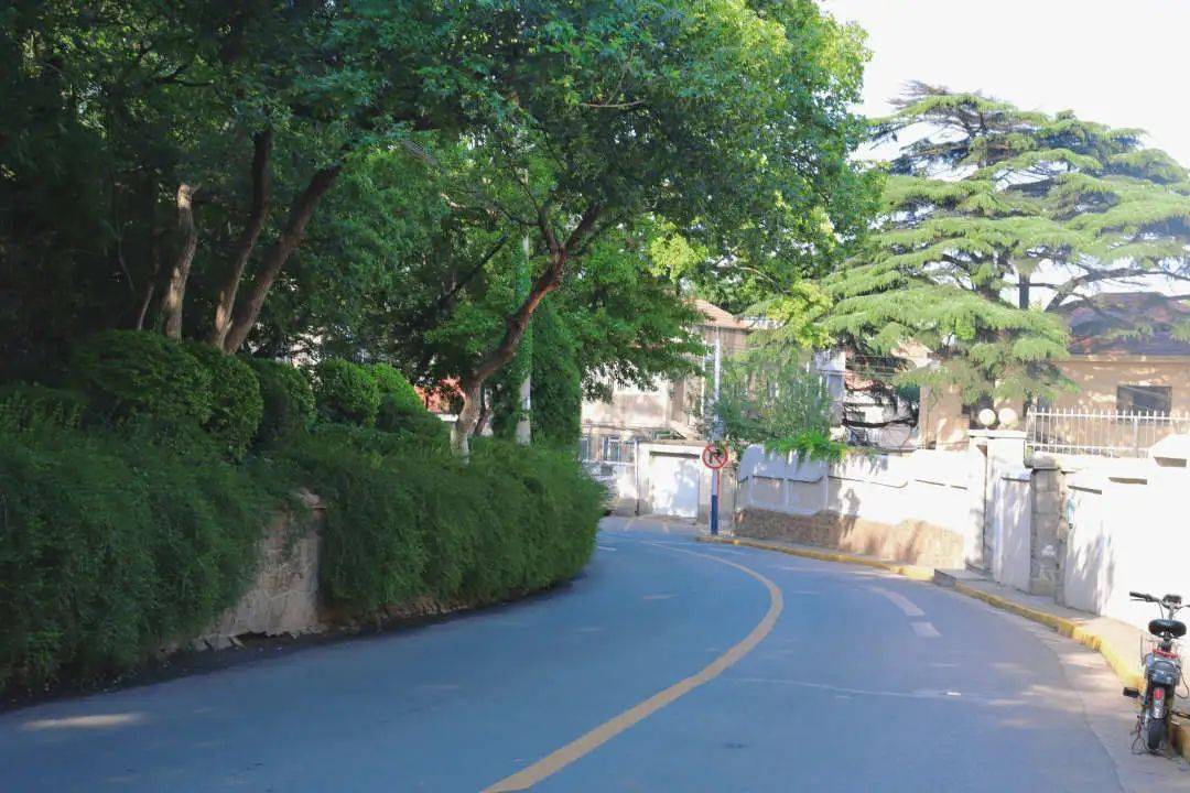 青岛龙山路图片