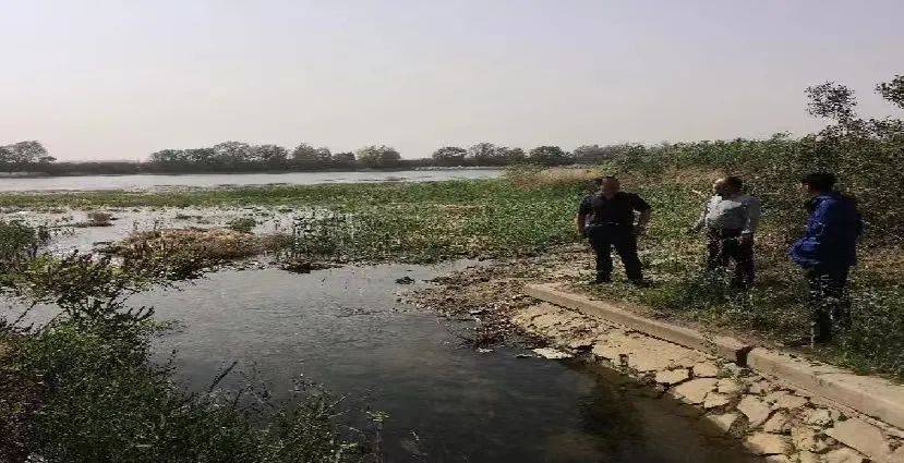 青铜峡市：有序生态补水优化全域水环境