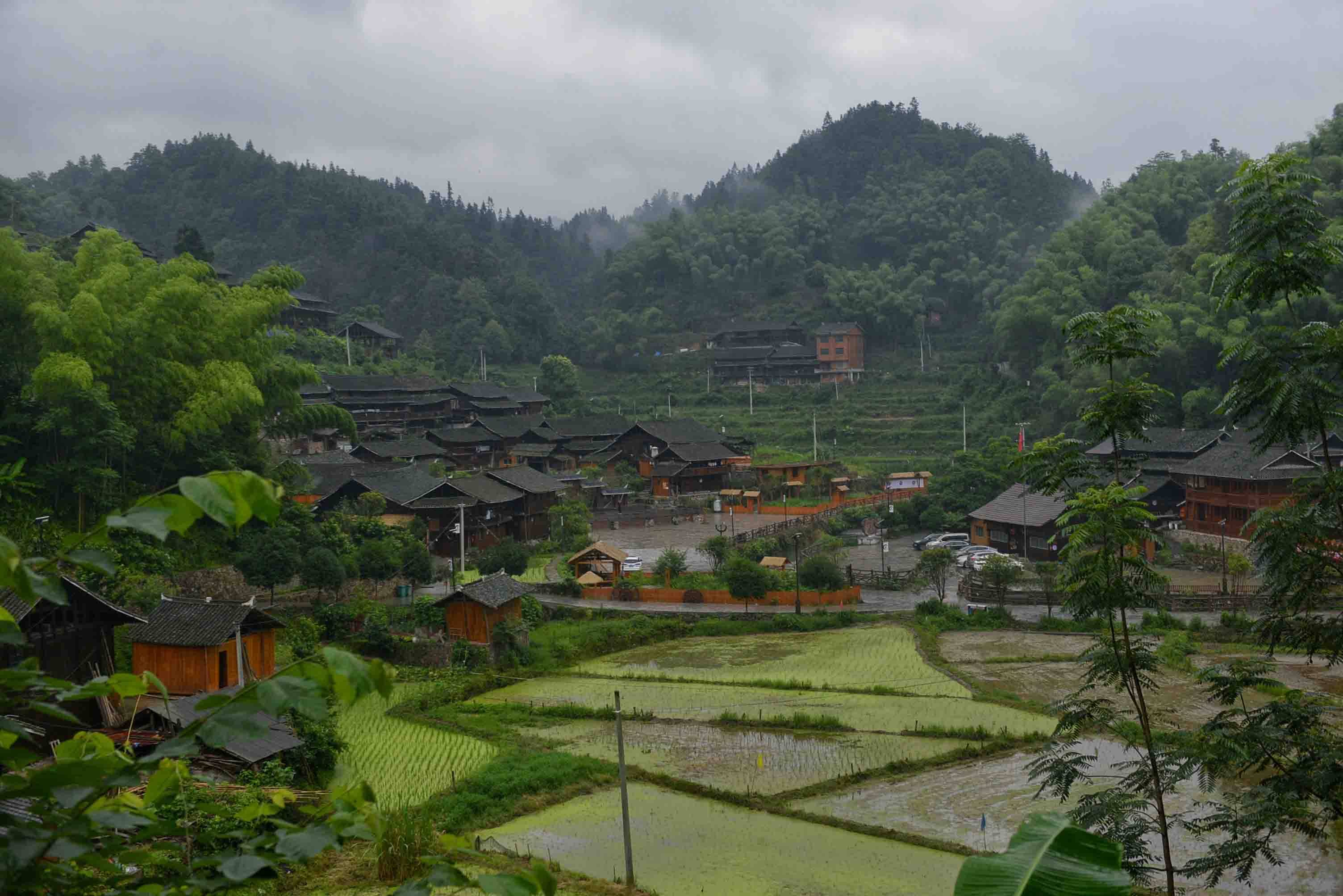 注意防范 天柱县发布暴雨预报