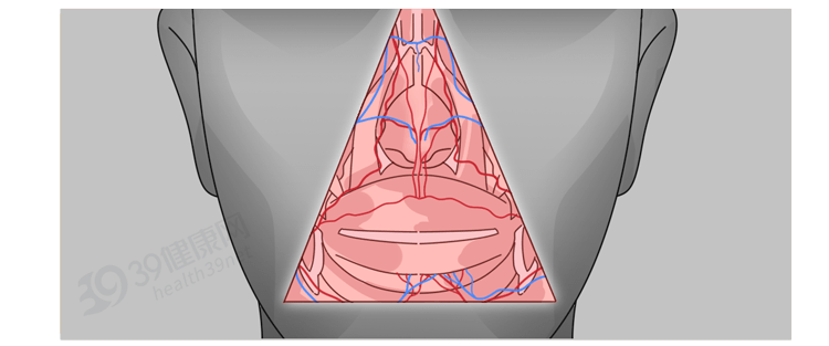 被称为面部的危险三角区由口角两侧延至鼻根的区域正解在这里:从而