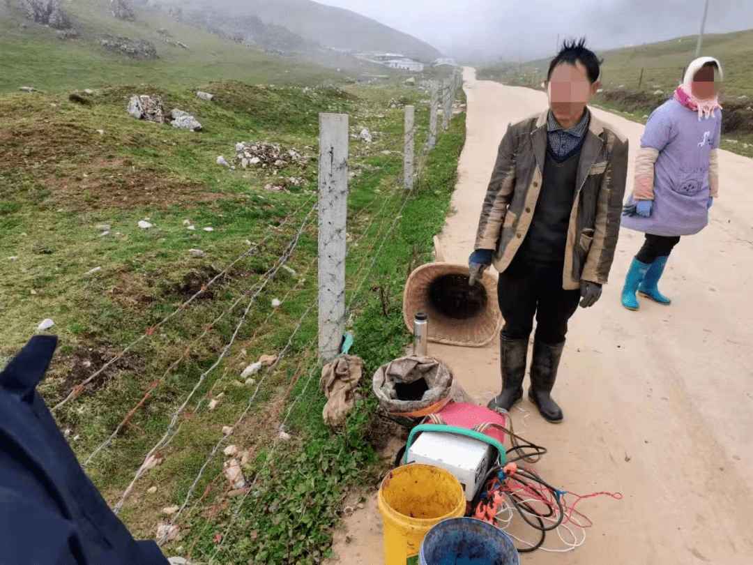 雲南6人被警方抓獲._蚯蚓_東川區_土壤