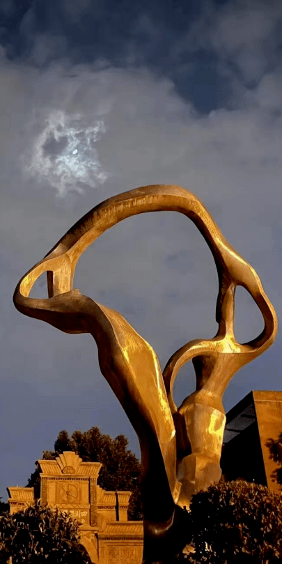 实景图曝光!南充这一"旅游地标"全新亮相!_六合_丝绸_工业