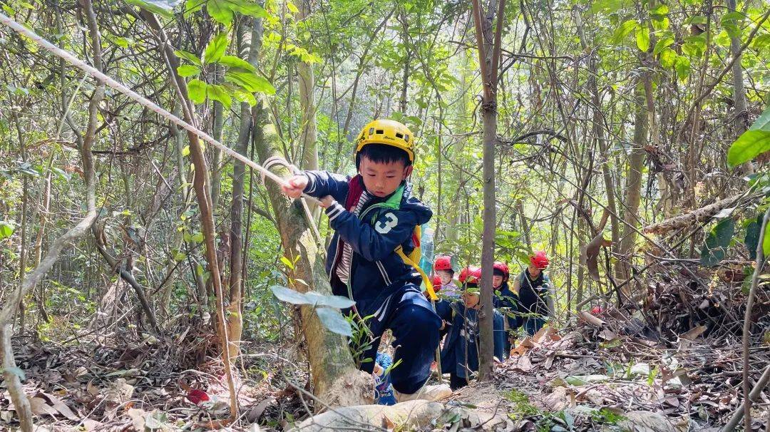 夏令营丨奔跑吧少年做一名不寻常的森林冒险家