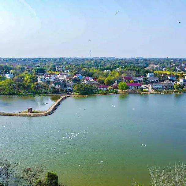 花桥村惠民安民更富民