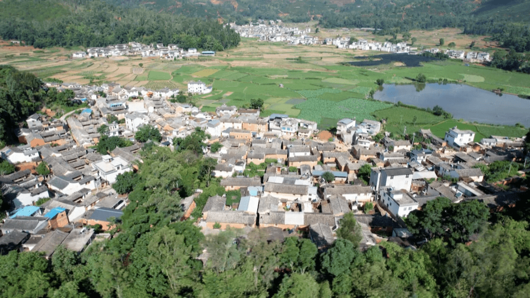 宝秀镇:坚决清退鱼塘!只为异龙湖水清!_工作_养殖_石屏县