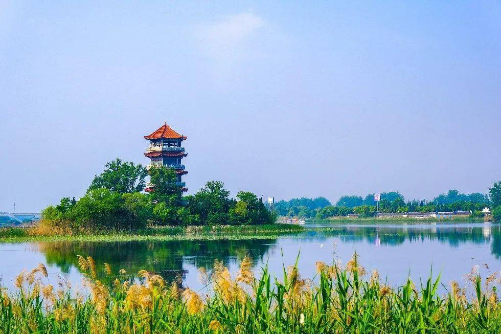 苏州结对阜阳!今天签约!_合作_安徽省_帮扶