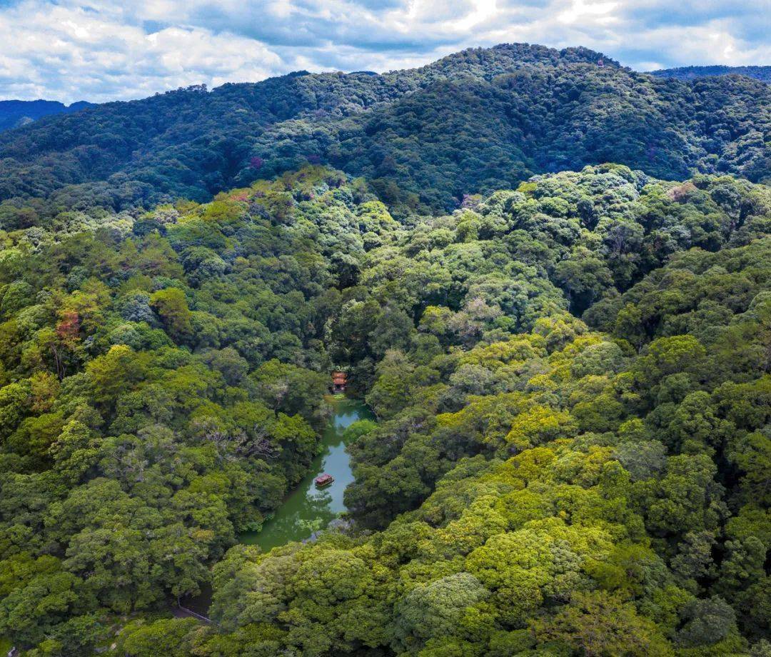 三明市推进林业产业融合发展_康养_森林_博会