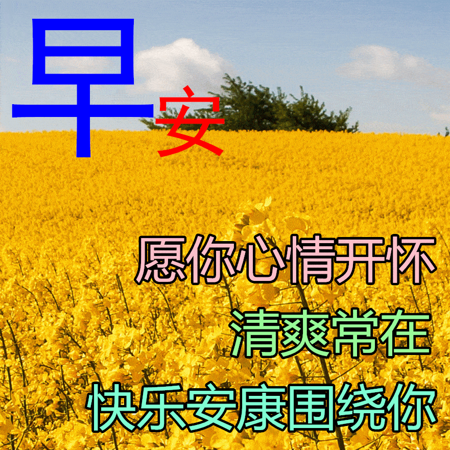 2022最新早上好表情包朋友早上好一声问候一切顺利