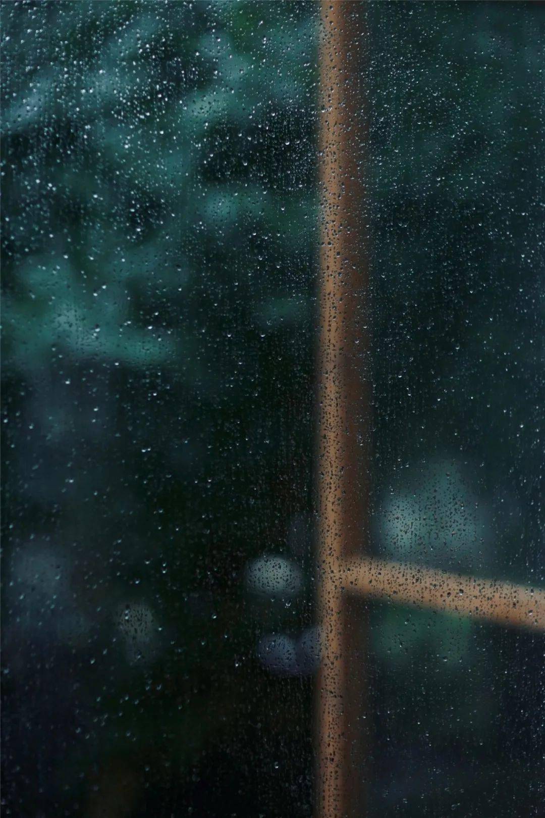 夏日听雨 夏雨 西湖 生活 夏日听雨 夏雨 西湖 生活