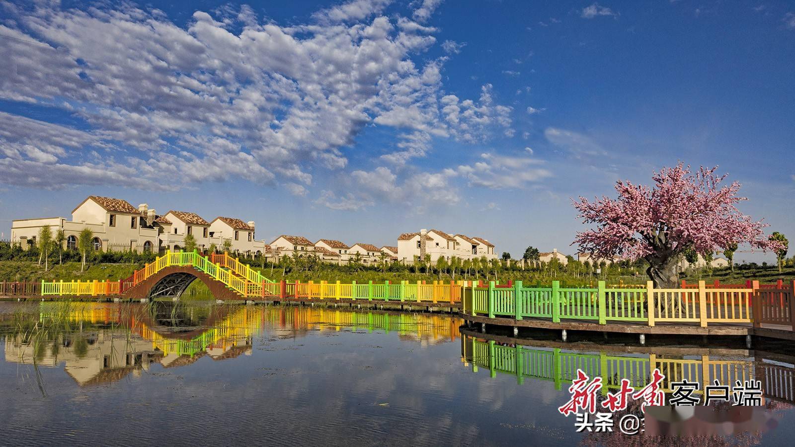 甘州区水云乡生态公园夏日别样美