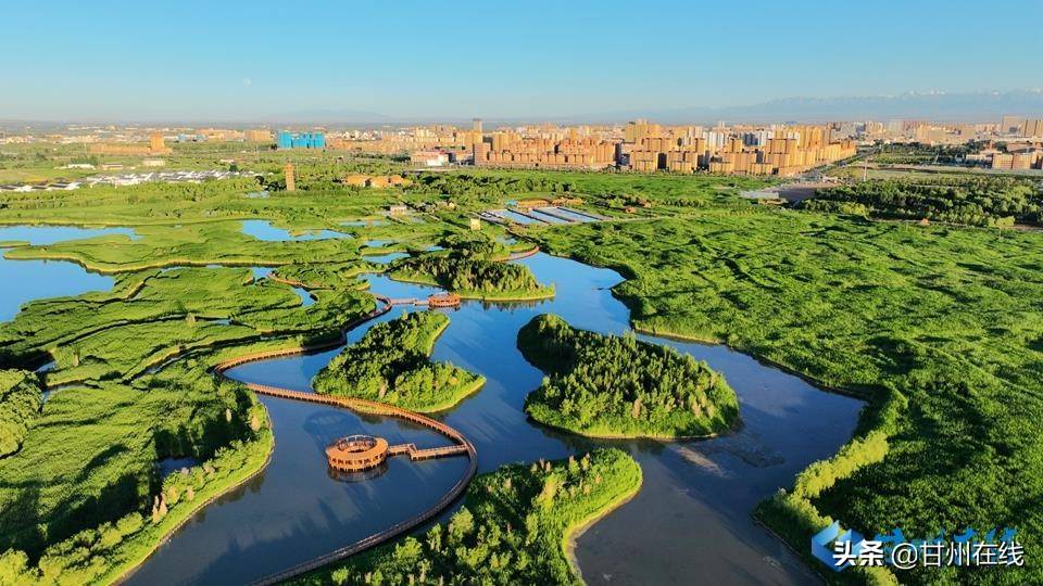 张掖甘州:夕照湿地生态美_城市_公园_国家