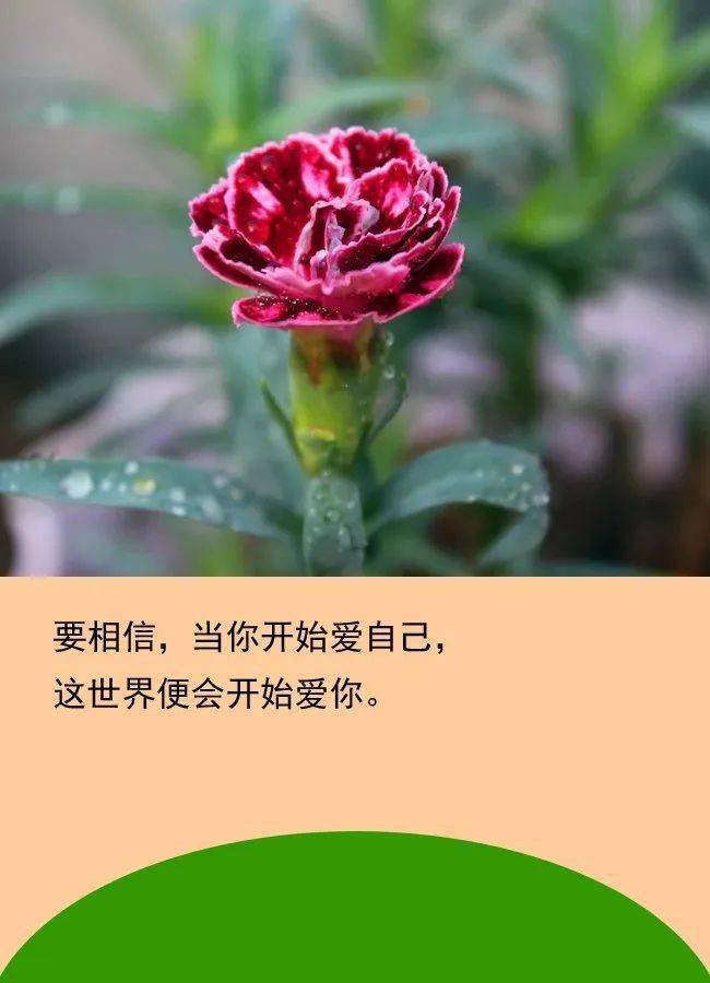 善待生活的一段话