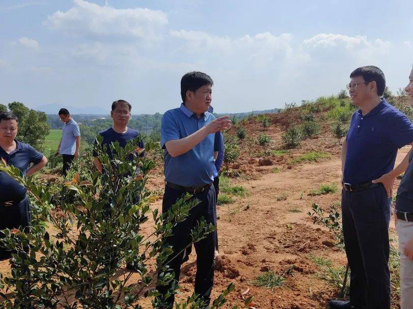 余定新带队督查全市重大民生实事"乡村振兴补短助弱