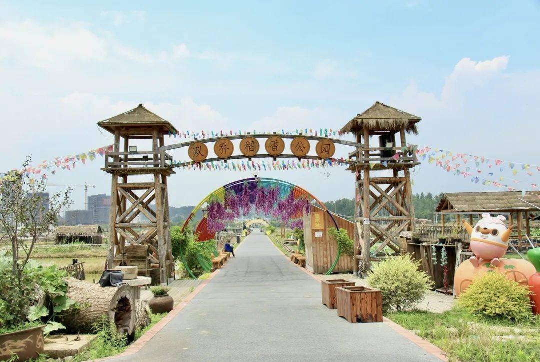 旅游促共富 赤岸彩稻公园绘出"共同富裕"新画卷_赤岸镇_双乔彩_乡村