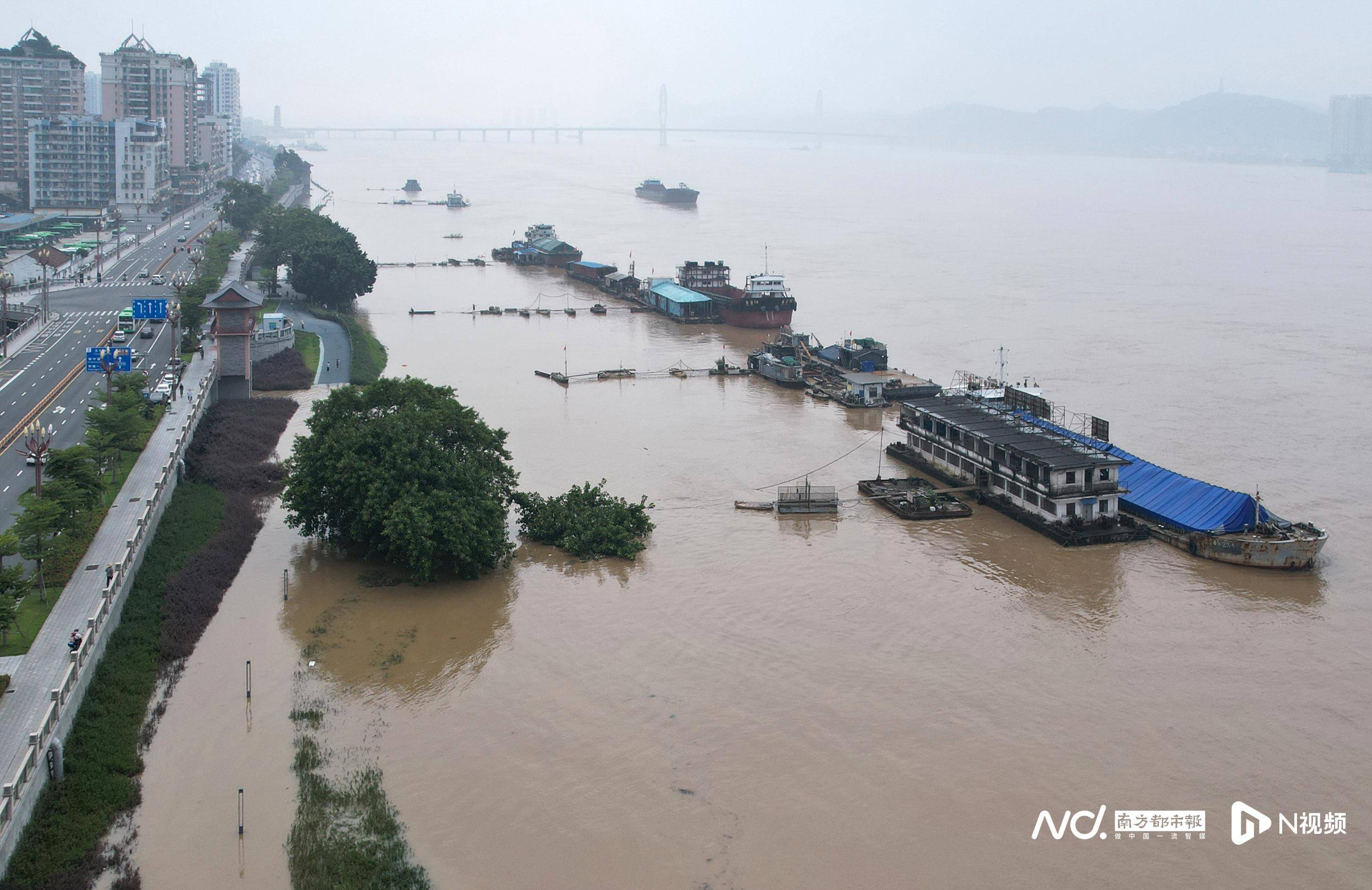 广东多条江河洪水超警梅州大埔高陂紧急转移4000余人