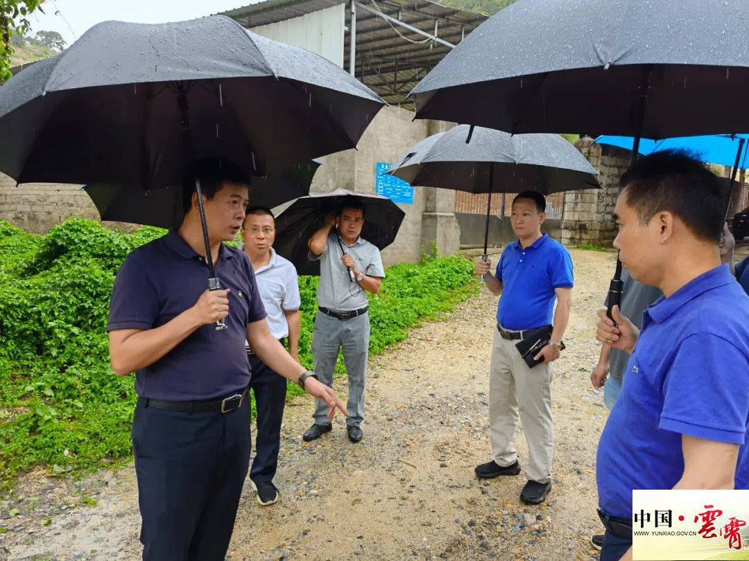 雲霄縣縣長督導檢查強降雨防禦工作_防汛_沈順來_情況