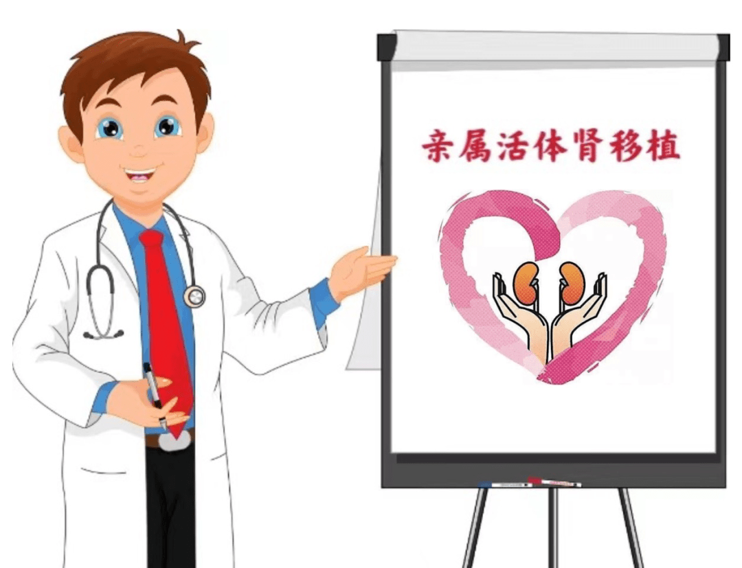 亲体肾移植有资助了