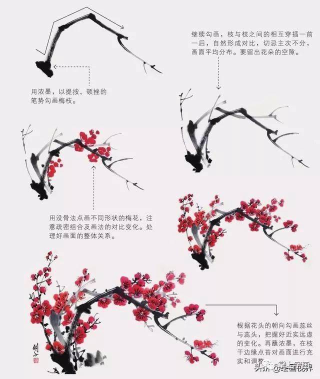 花卉画法入门教程 双勾法画梅花