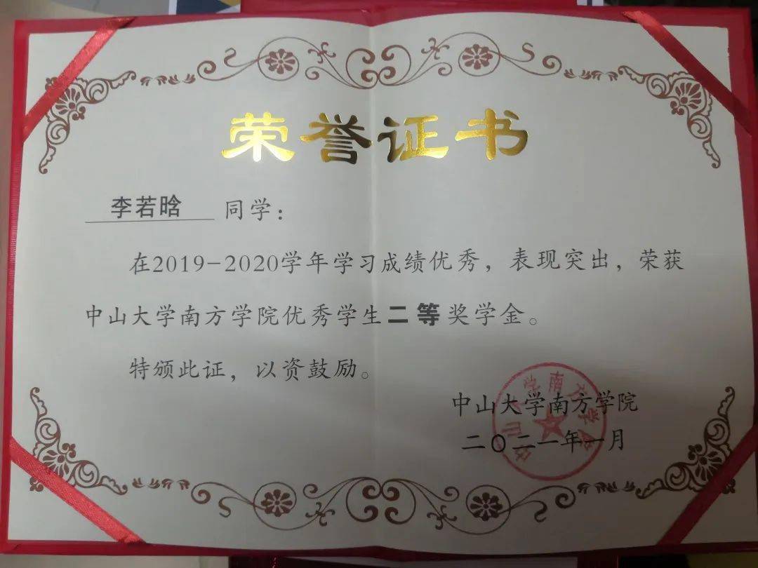 国奖映像李若晗花开堪折直须折莫待无花空折枝