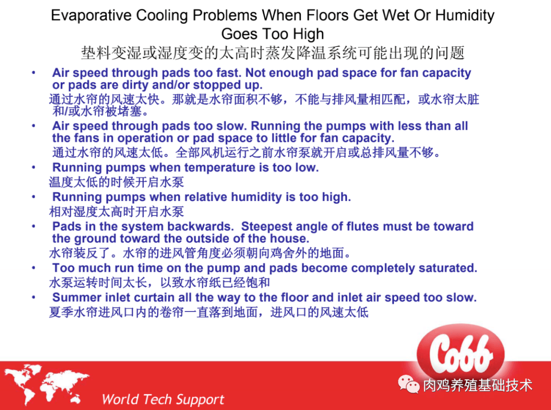 新思維養殖:縱向通風及水簾的應用(科寶cobb)_福敬_技術_cobb