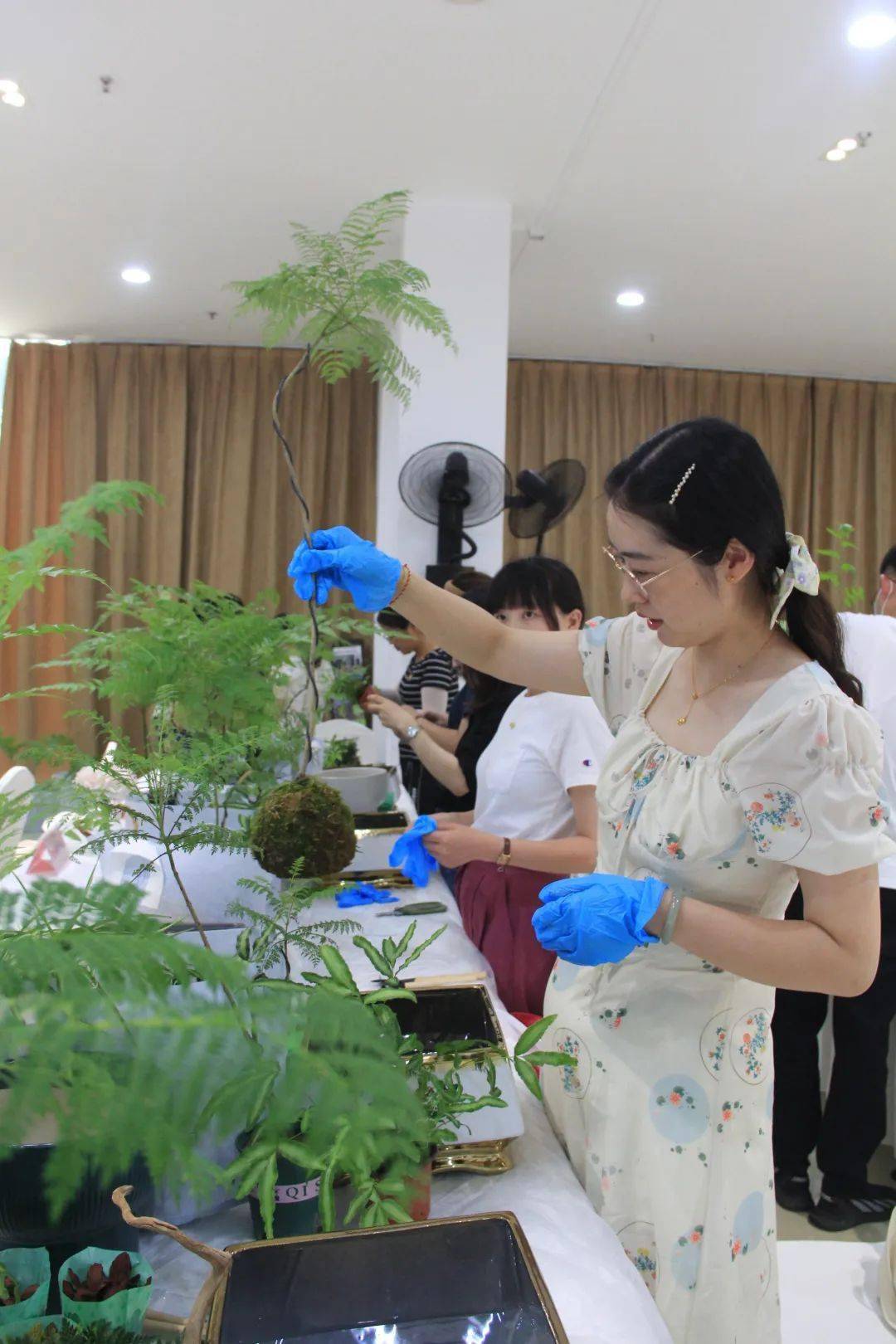 "2022年常州市组合盆栽大赛"在夏溪花木市场顺利举办_花卉_农业_产业