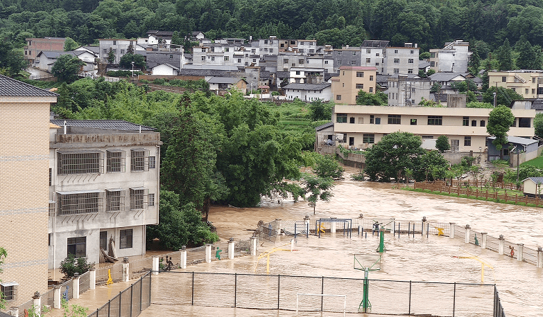 江西龙南杨村首富图片