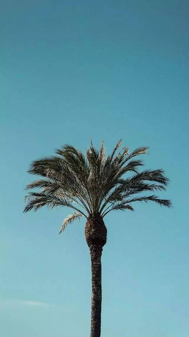 精彩文章分享:微信头像 非常nice 超可的微信头像来喽 2022虎年姓氏