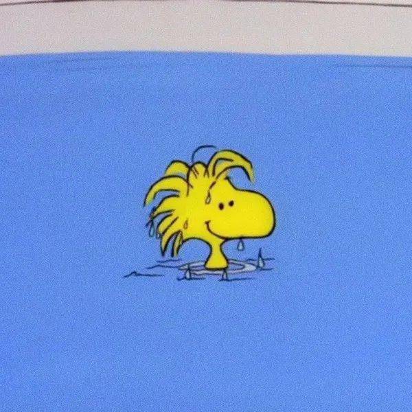 有趣头像,夏天真的很可爱吧