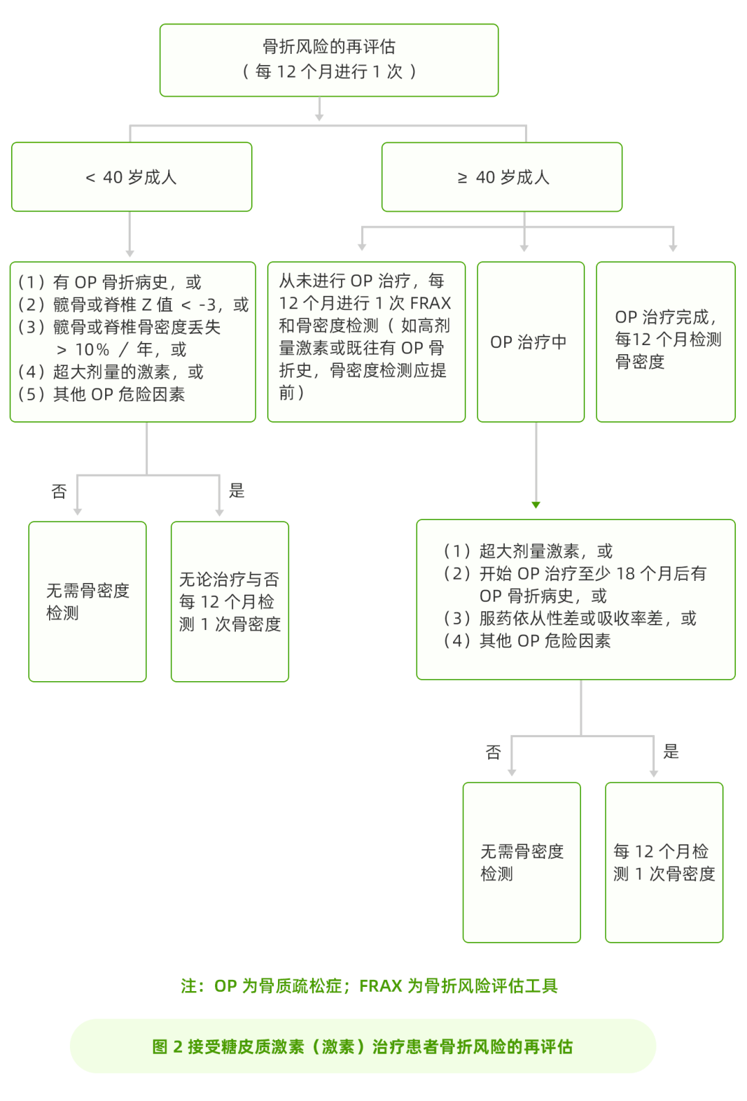 骨质疏松症_鉴别_激素