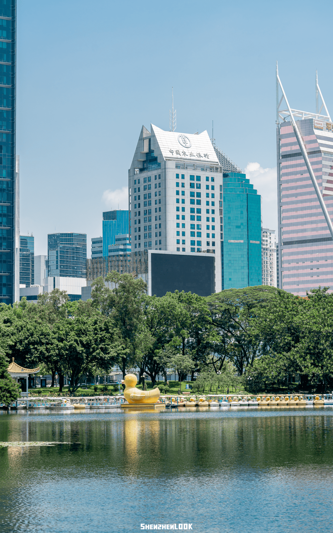 陪伴40年几代深圳人的"童年乐园"湖光,荔林,亭台,水榭变与不变的,依旧