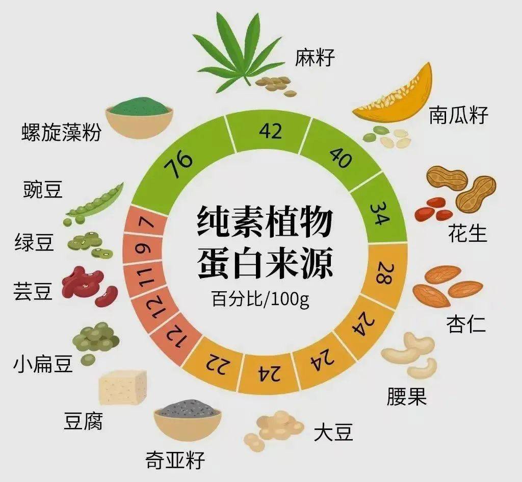 充满光和生命力的高振频食物支持你的意识转变