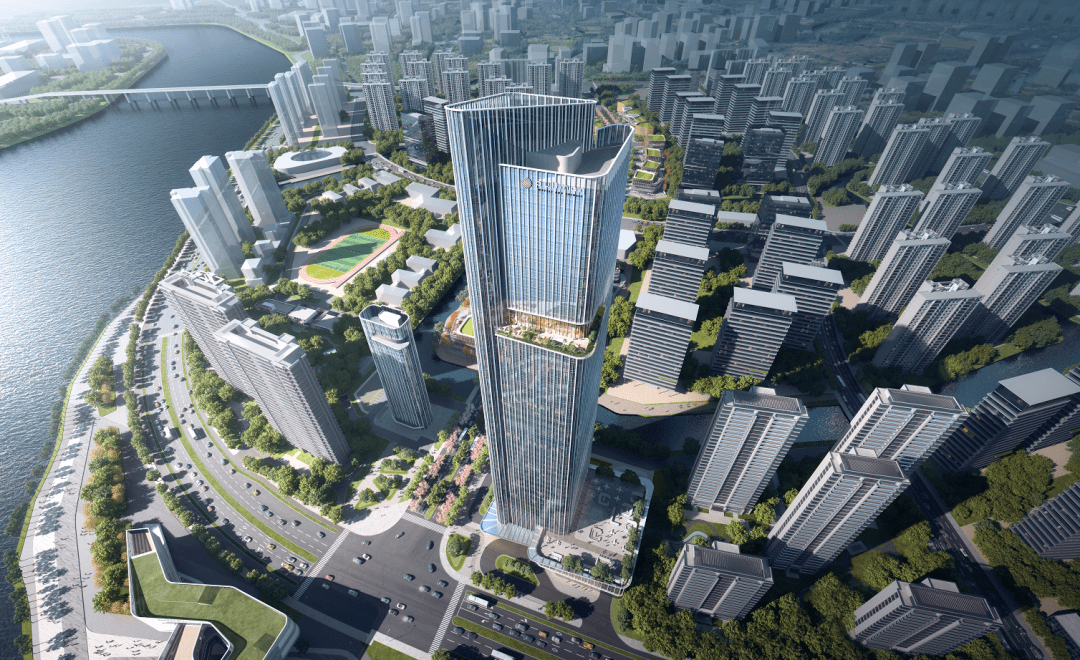 体育馆,剧院,学校……_鳌江_金茂_城市