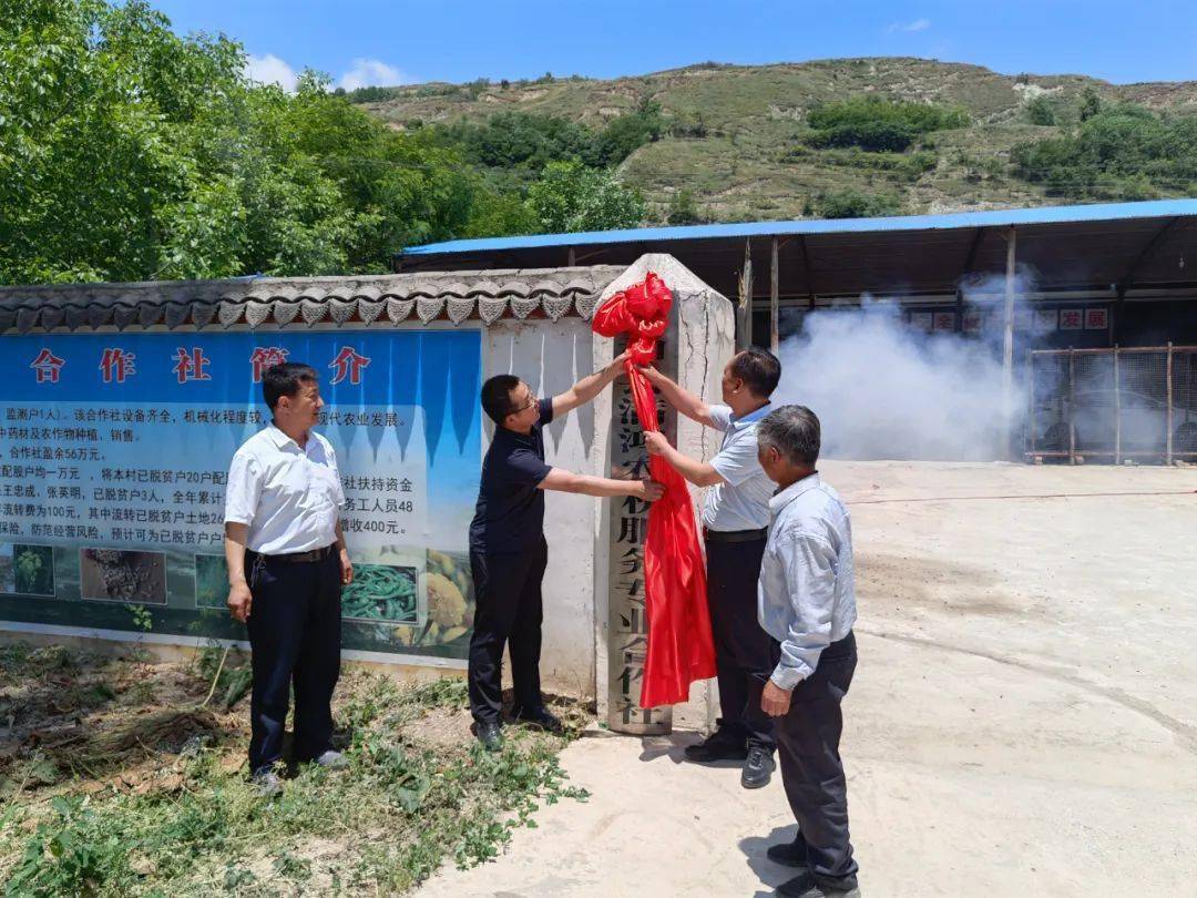 【苏合动态】西和县满鸿农机服务专业合作社揭牌成立_王平仲_农业