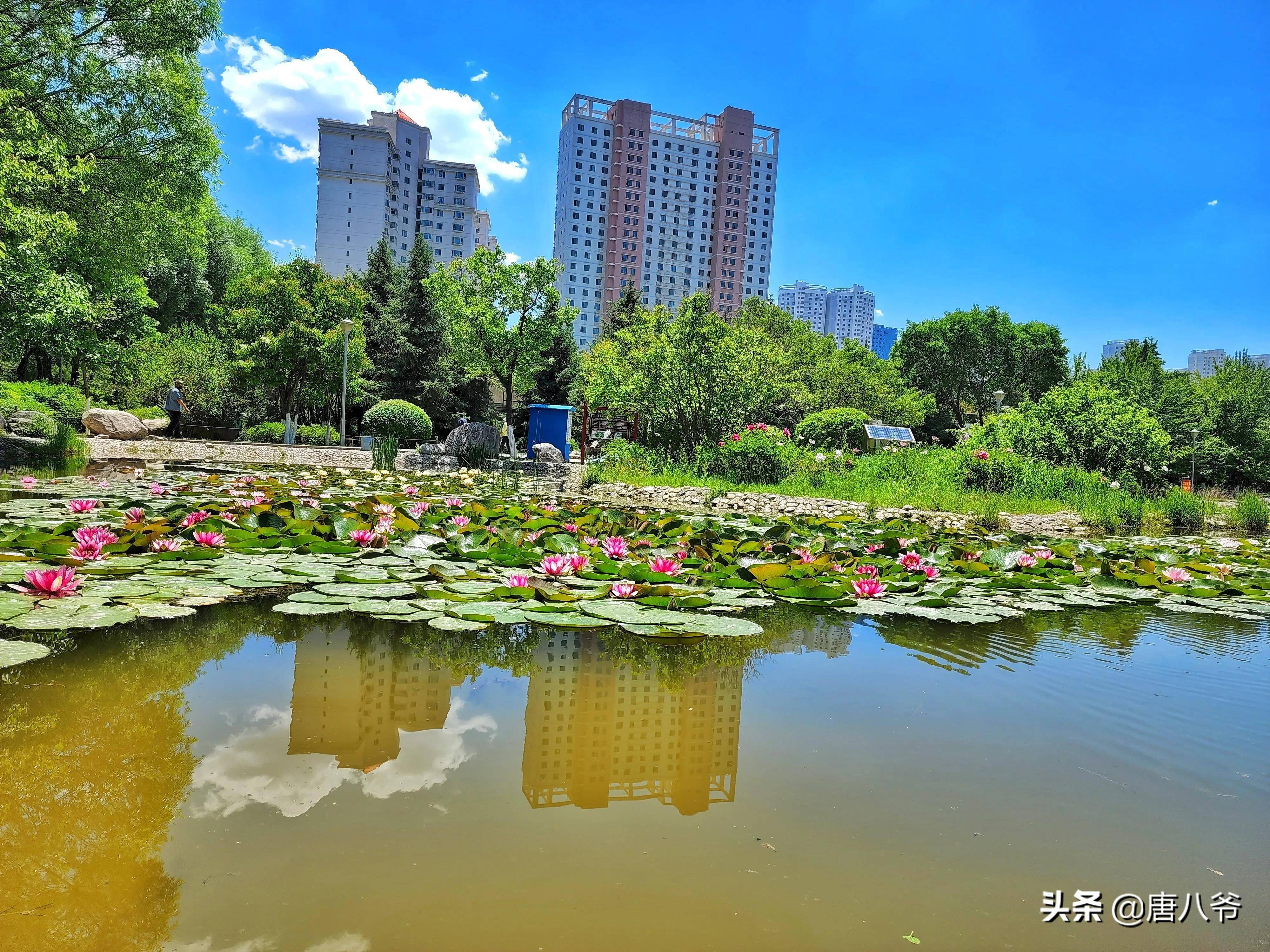 西宁文化公园图片