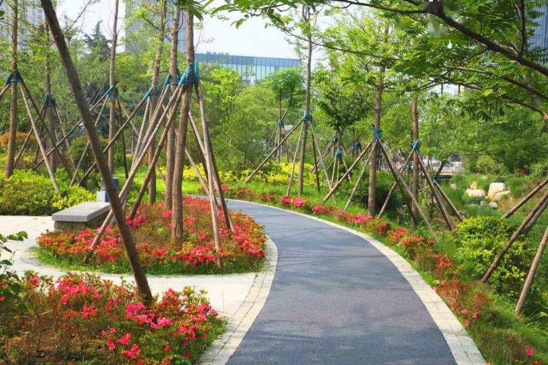 文明视角日照新建街头绿地打造微幸福空间