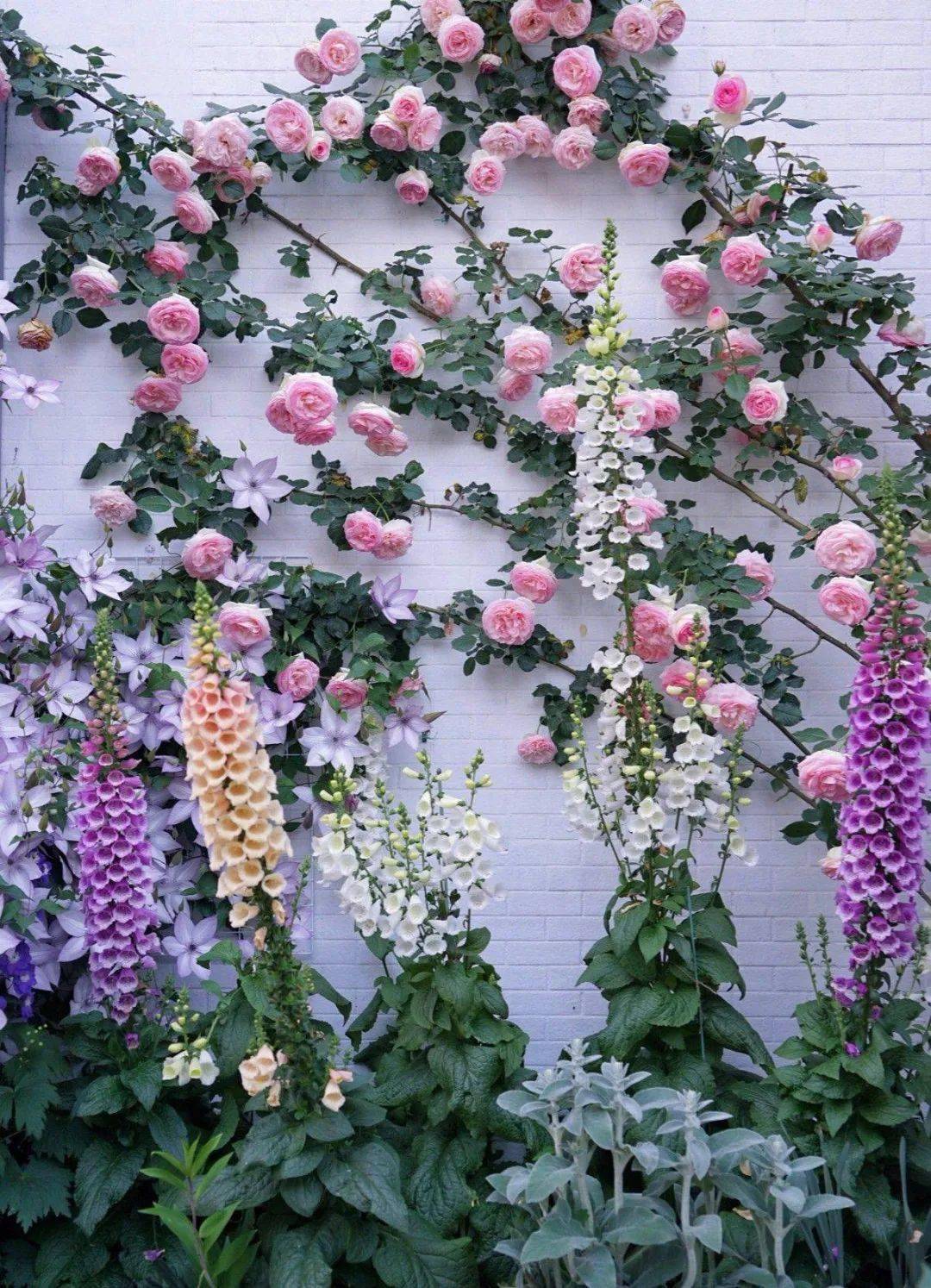 35㎡楼顶露台亲手打造成心中喜欢的小花园