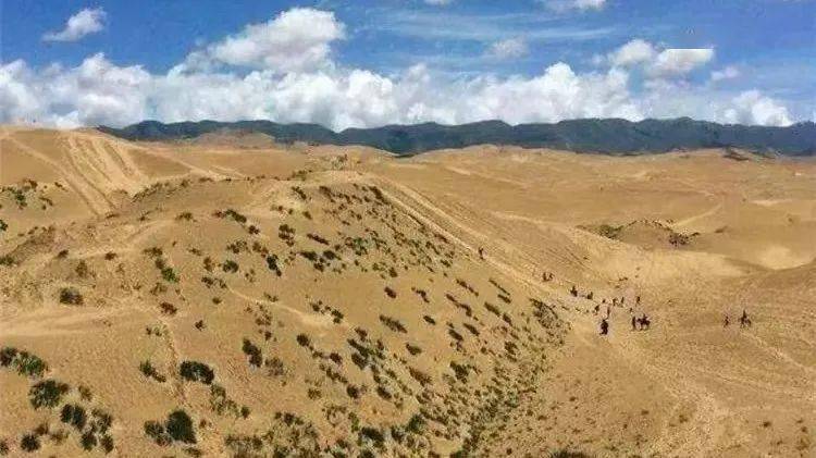 荒漠化被称为"地球的癌症",它威胁着全球三分之二国家和地区,五分之一