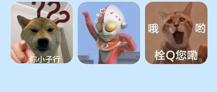 表情包|我真是栓Q了,这么沙雕的表情包都拿不下你?_生活_花会_治愈