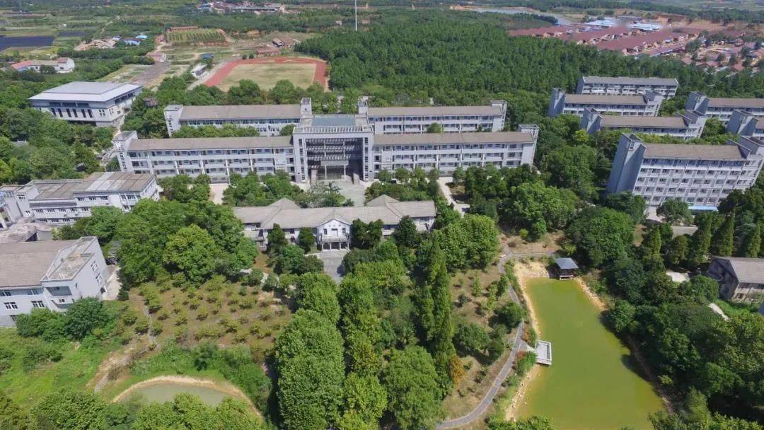 金华市中考招生直播咨询6月19号上线学校金华市宾虹高级中学