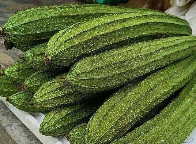 夏天常吃瓜不用把药抓这5种瓜要多吃润燥去火身体舒畅