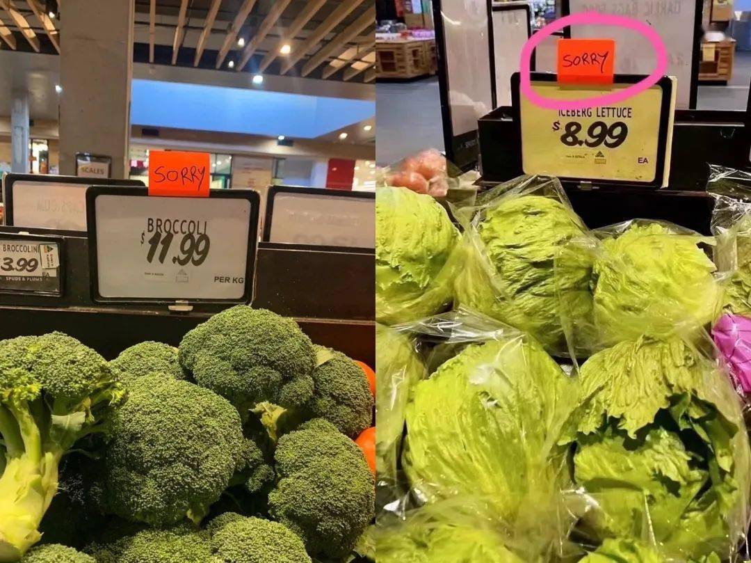 贵,超市的西兰花都掰秃了,这届澳洲人省钱的路子能有多野_生菜_蔬菜