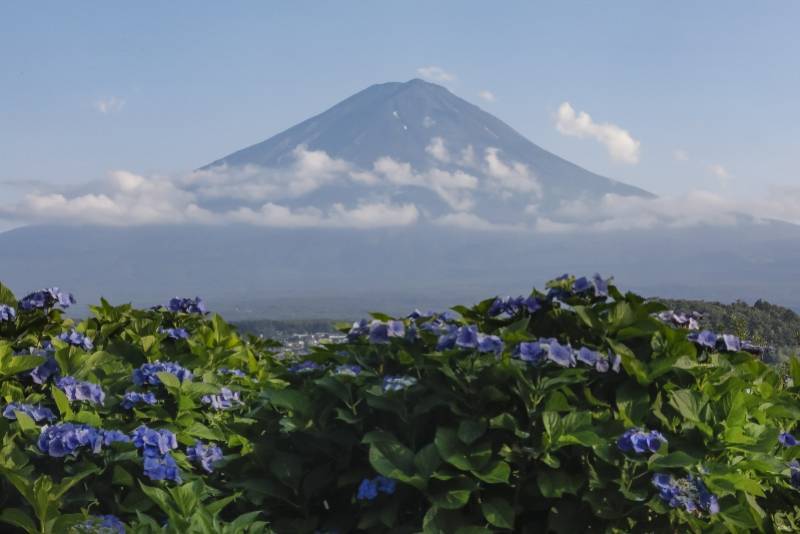 图集 富士山可能喷发 多角度观察这座休眠的日本最高峰 新华社 山梨县 南都