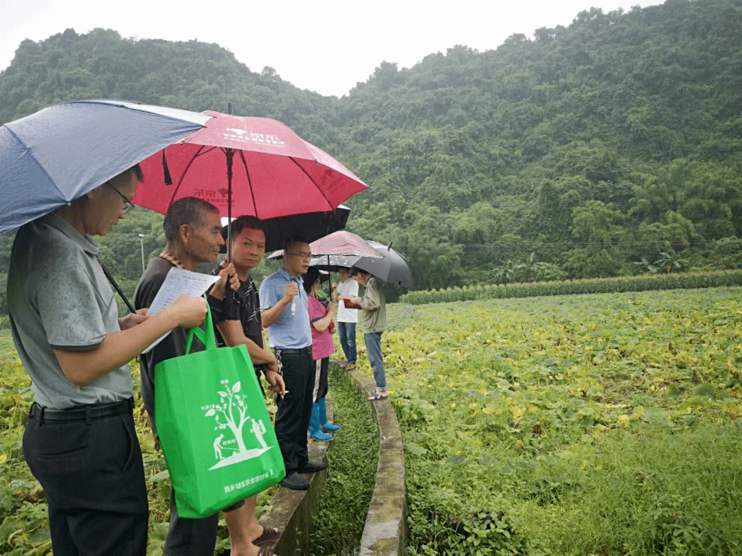 走進基層裡當鄉古潭鄉江西鎮人大代表都在忙些啥