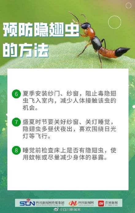 四川是隐翅虫的高发区