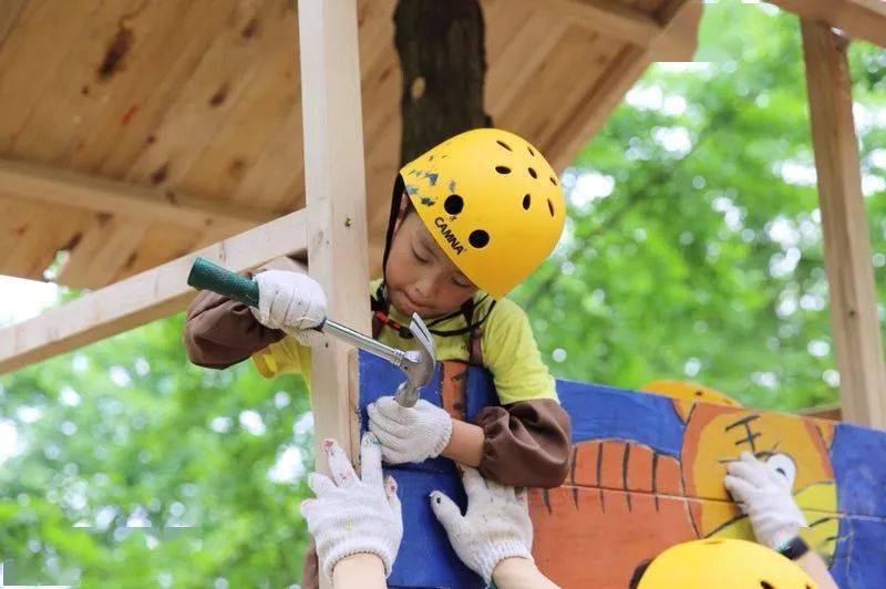 在森林里造一个房子 5d4n_成就感_工具_孩子