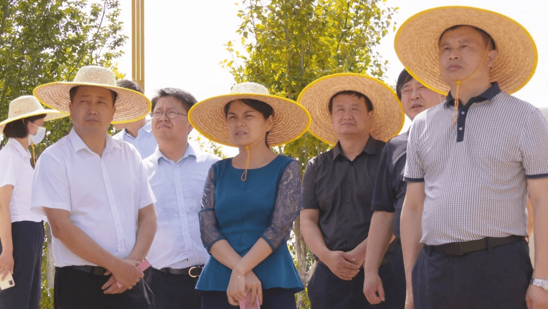 陈丹努力打造城市新地标经济增长极