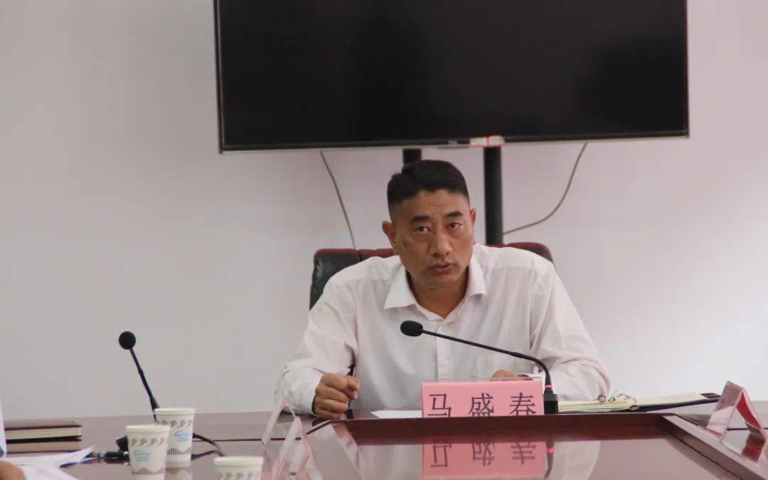 县委书记马盛春调研乡村换届回头看工作